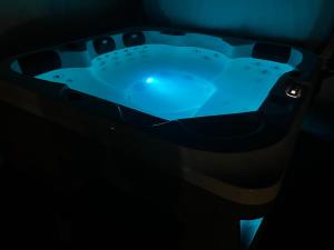 Villas Maison 2-10 pers au calme piscine jacuzzi Amboise : photos des chambres