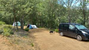 Campings CAMPING Pleine Nature : photos des chambres