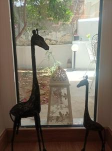 Modern familiar house under Acropolis