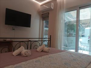 Modern familiar house under Acropolis