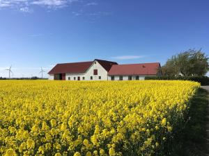 Cozy guest house with outdoor hot tub