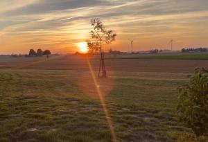 Cozy guest house with outdoor hot tub
