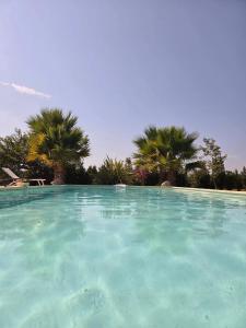 Villas Villa provencale a Arles avec piscine privee et vue jardin. : photos des chambres