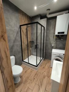 Apartament Centrum 2