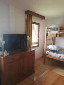 Appartements Studio chaleureux de montagne : photos des chambres