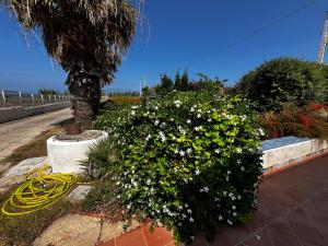 La casa del vento Stagnone