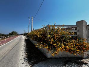 La casa del vento Stagnone