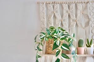 New! Beach Escape in Old Antibes