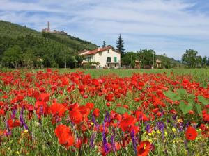 Serenity farmhouse in Castiglion Fiorentino