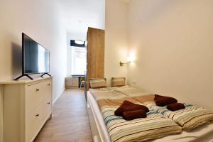 Domillion Duplex Apt 11 ppl 4baths Vokieciu V10C