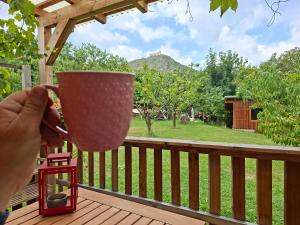 Pavlov24 - Domeček u potoka