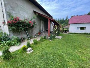 Будиночок на Лузі