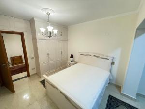 Modern apartment in Maadi