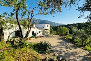 Almond Hill House