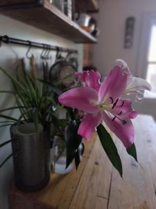 Lovely 2-bedroom flat with terrace in SE5 0TJ