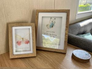 Kieras View At Bideford Bay