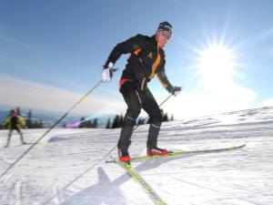 Ferienhaus in Eberndorf nahe Skigebiet Petzen