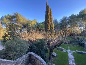 Maisons d'hotes O Mas de Meze : photos des chambres