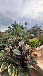 MARGOSA bungalow, ZANZIBAR