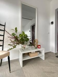 Cazare apartamente LAVI-TOUR Tg Neamț