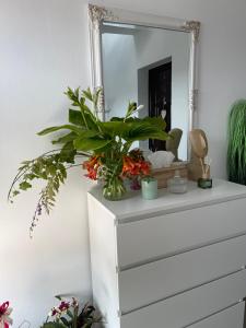 Cazare apartamente LAVI-TOUR Tg Neamț