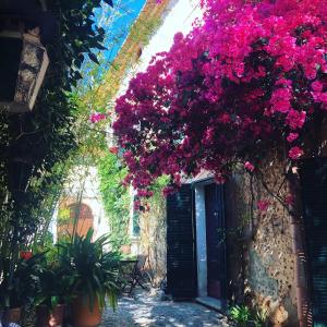 Suites with pool in Can Fressa Garden - Only Adults