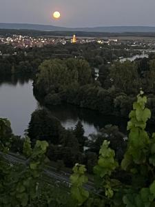 Gemütliche Ferienwohnung VOLKACH 75 m2 -Terasse