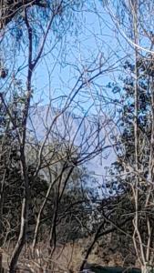 Alquiler villa dolores