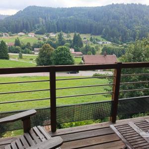 Chalet Bois le Havre du sotrè Gérardmer Sauna panoramique jacuzzi 14 personnes et 1 bébé