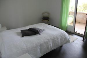 Appartement 3 pièces tout confort dans les pins