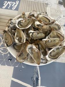 Campings Bienvenue chez siblu : photos des chambres