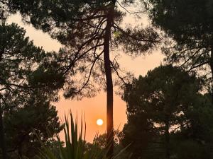 Campings Bienvenue chez siblu : photos des chambres