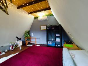 UNDER THE GREEN ROOF