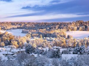 Villas Alsace Balconies : photos des chambres