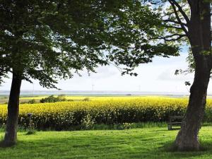 14 person holiday home in Løgstør-By Traum