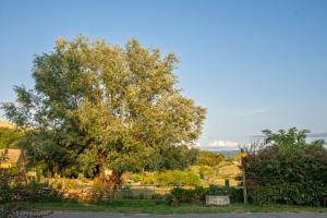 Maisons de vacances Vignes et Sentiers - Charming Stone House for 4 : photos des chambres