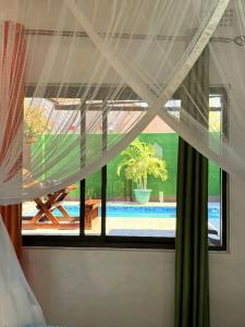 Austins Oasis Apartment