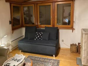 Ferienhaus Seeboden nahe Ski und See