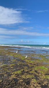 Marulhos Resort by HomeTemp