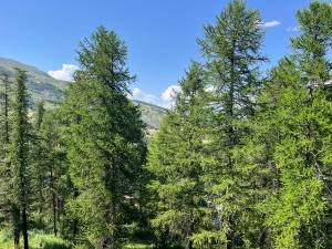 Appartement entièrement rénové 4 personnes Vars proche pistes et commerces