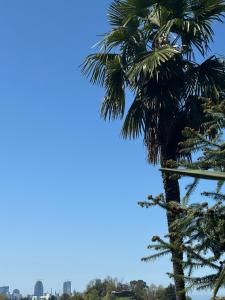 Carpe Diem Boutique Resort