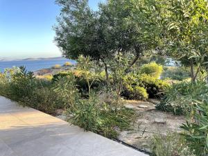 The Antiparos Stone House