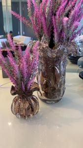 Alpha Luxury Apartment