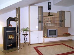 Apartment Zell am Ziller near Ski Arena