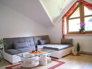 Apartment Zell am Ziller near Ski Arena