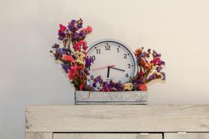 Sapori di Livorno centro storico