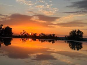 B&B Masseria Conti Filo
