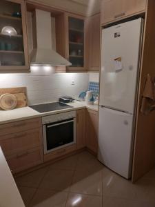2room-flat, perfect kitchen in Athens, Pangkrati 100Μbits