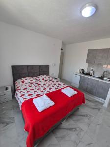 Apartmani Nevena Airport