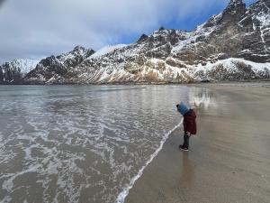 Cozy home on the island of Senja with sea views